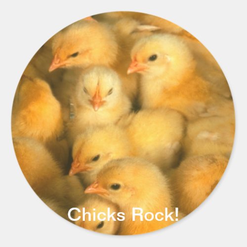 Chicks Rock Baby Chicks Chick Chicken Chickens Classic Round Sticker