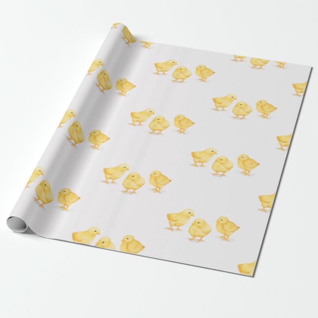 CHICKS WRAPPING PAPER (Unrolled)