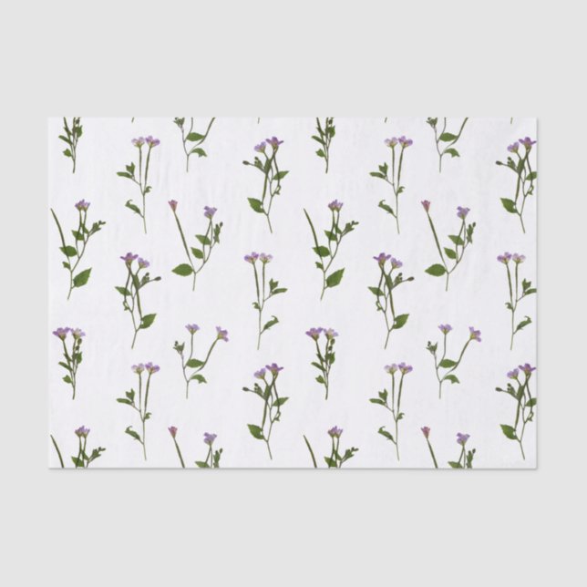 chickweed willowherb dense tissue paper (Front)