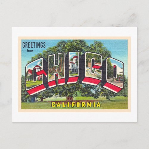 Chico California CA Vintage Large Letter Postcard