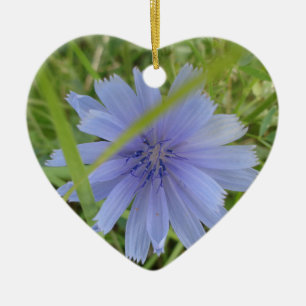 Chicory Blue Purple Flower Floral Ceramic Ornament