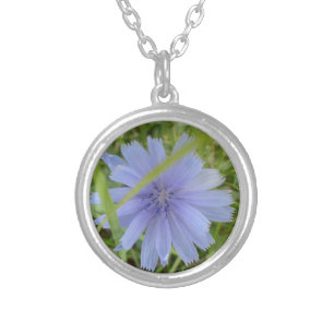 Chicory Blue Purple Flower Floral Silver Plated Necklace