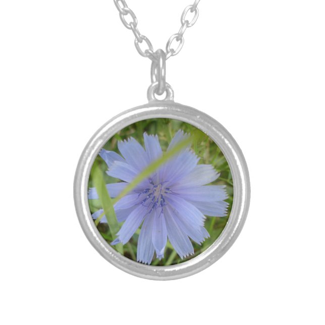 Chicory Blue Purple Flower Floral Silver Plated Necklace (Front)
