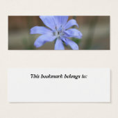 Chicory Bookmark (Front & Back)