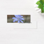 Chicory Bookmark (Desk)
