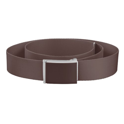 Chicory Coffee Solid Color Print Neutral Brown Belt