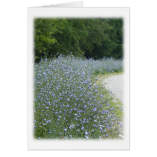 Chicory Flower Blooms Blank Thank You Card