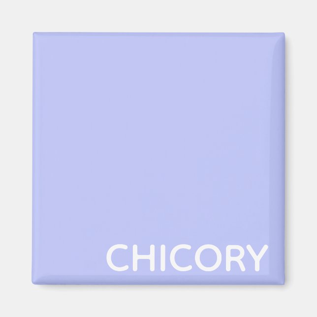 Chicory Flower blue color name Magnet (Front)