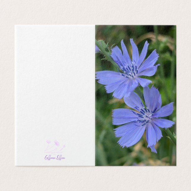 Chicory Flower Folded Note Card (Outside Unfolded)