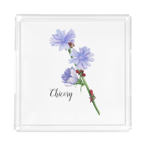 Chicory Flowers Watercolor Acrylic Tray