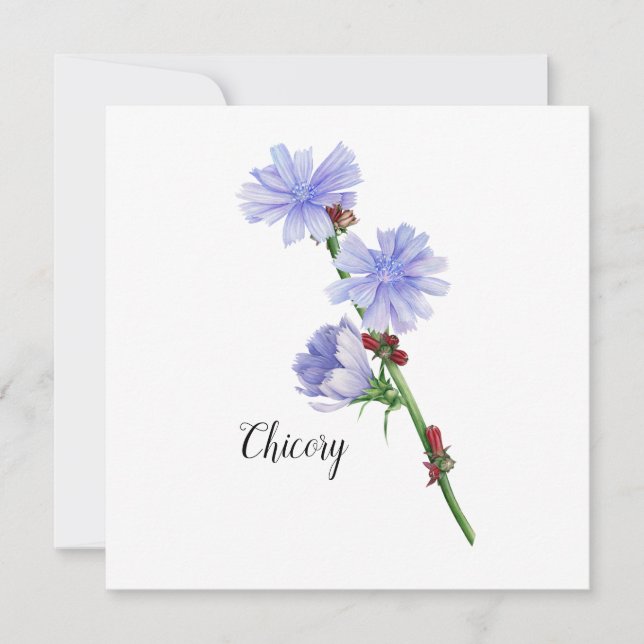 Chicory Flowers Watercolor Flat Card (Front)