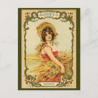Chicory Harvest Advertisement Postcard