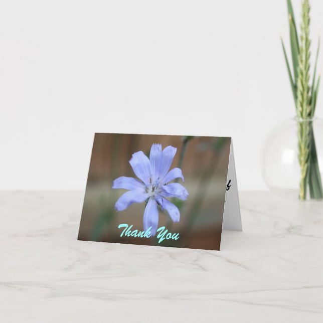 Chicory Thank You Note Cards (Front)