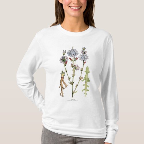 Chicory Vintage Botanical T_Shirt
