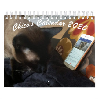 Chico's Calendar 2020