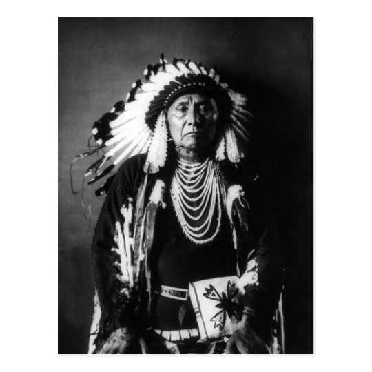 Chief Joseph Postcard