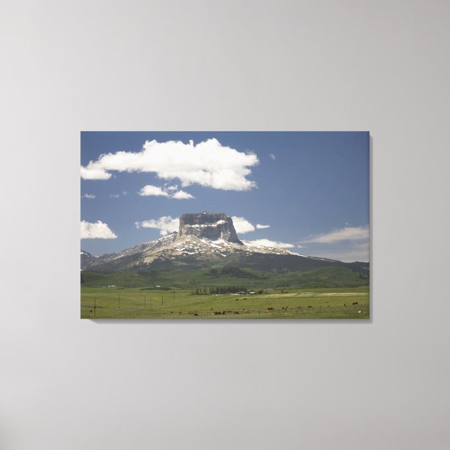 Chief Mountain With Pastures Of Grazing Cattle Canvas Print (Front)