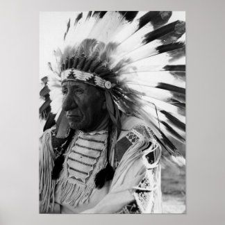 Chief Red Cloud Poster