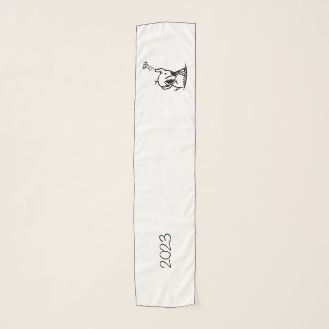 Chiffon Scarf (Front)