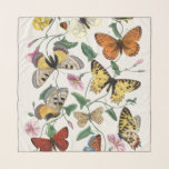 Chiffon Scarf Butterfly Vintage Illustration<br><div class="desc">Chiffon Scarf Butterfly Vintage Illustration</div>