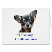Chihuahua (Front Horizontal)
