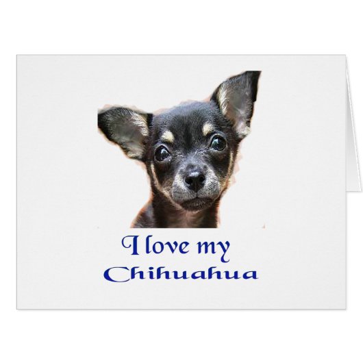 Chihuahua (Front Horizontal)