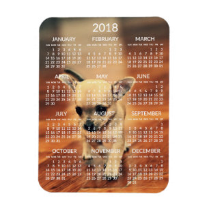 Chihuahua 2018 Calendar Photo Magnet 3x4 Small
