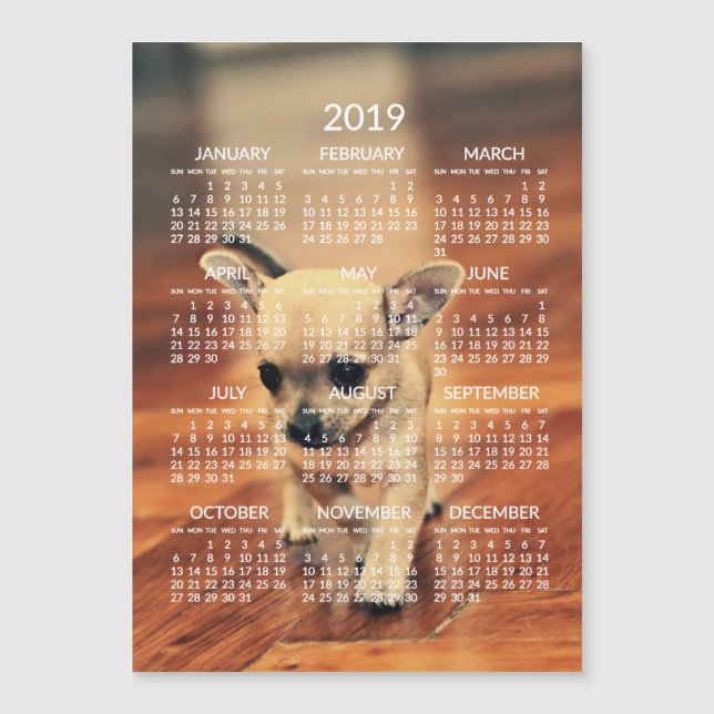 Chihuahua 2019 Calendar Photo Magnetic Card 5x7 (Front)