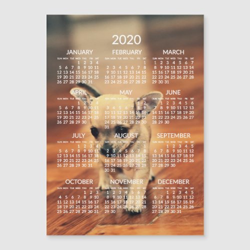 Chihuahua 2020 Calendar Photo Magnetic Card 5x7