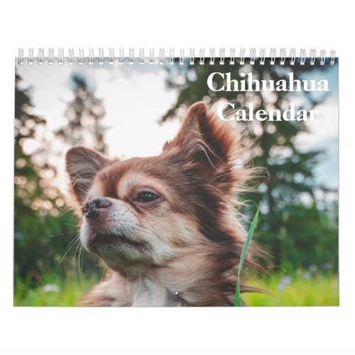 Chihuahua 2024 calendar