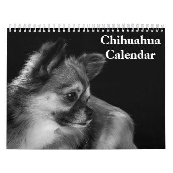 Chihuahua 2024 Calendar by sunbuds at Zazzle