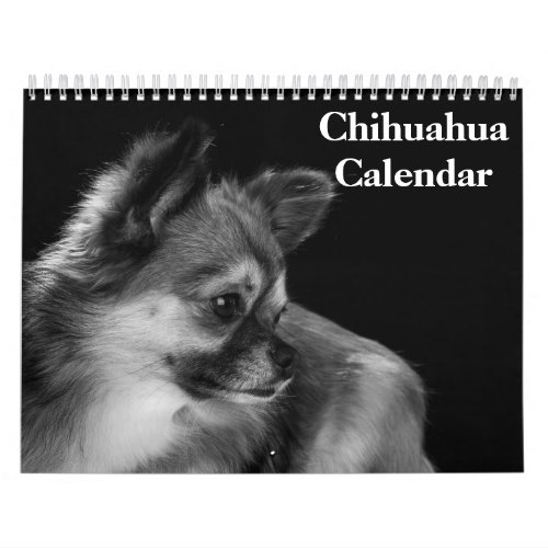 Chihuahua 2024 calendar