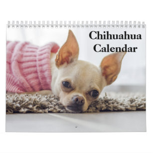 Chihuahua 2024 calendar