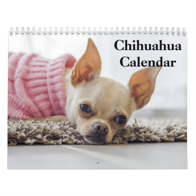 Chihuahua 2026 calendar (Cover)
