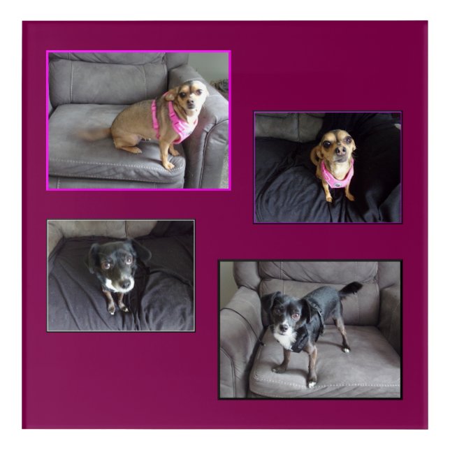 Chihuahua Acrylic Wall Art (Front)