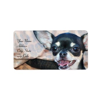 Chihuahua Address Labels by ritmoboxer at Zazzle