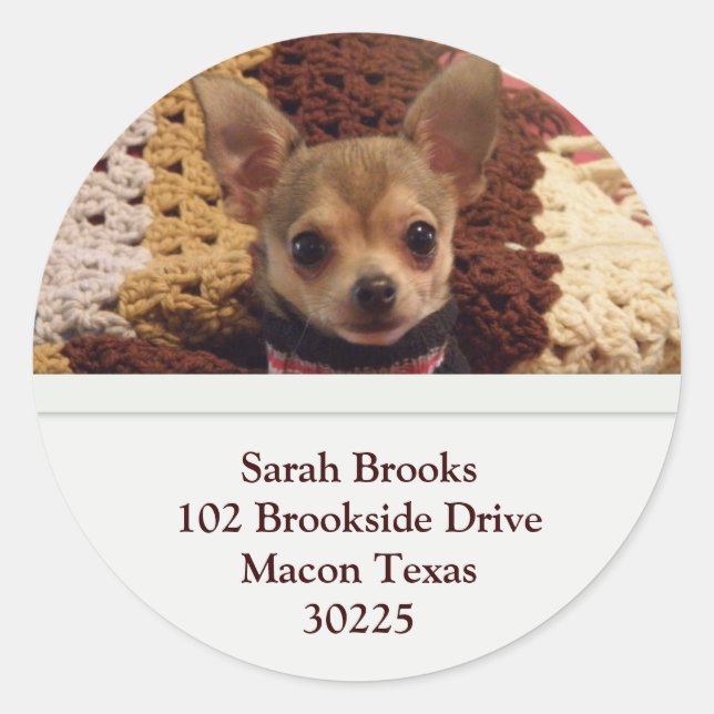 Chihuahua Address Labels (Front)