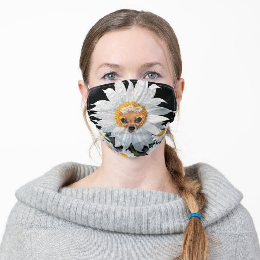 Chihuahua Adult Cloth Face Mask (Worn)