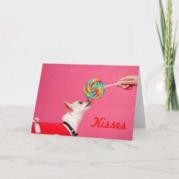 Chihuahua And Lollipop Holiday Card by HolidayBug at Zazzle