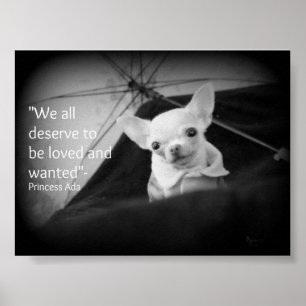 Chihuahua appreciation poster