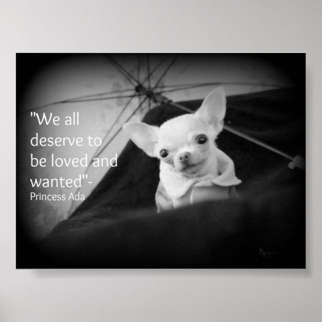 Chihuahua appreciation poster (Front)