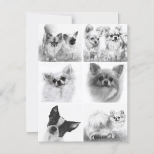 Chihuahua Art Collection Hand Painted Artwork Postcard