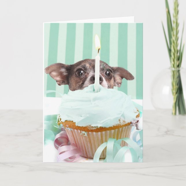 Chihuahua birthday cake card (Front)