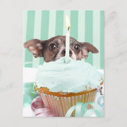 Chihuahua birthday cake postcard
