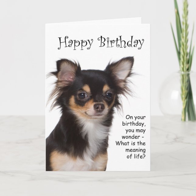 Chihuahua Birthday Card (Front)