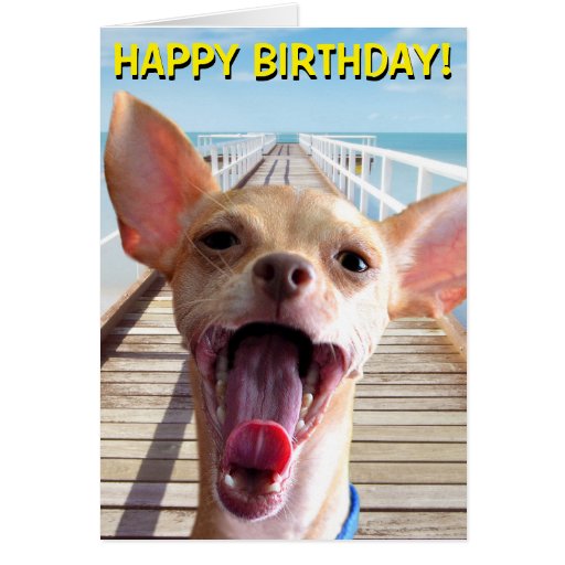 Chihuahua birthday card | Zazzle