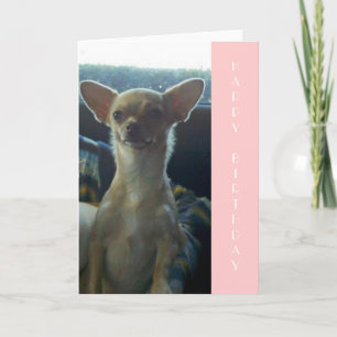 Chihuahua Birthday Card