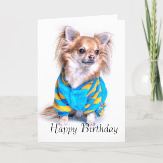 Chihuahua Birthday Card