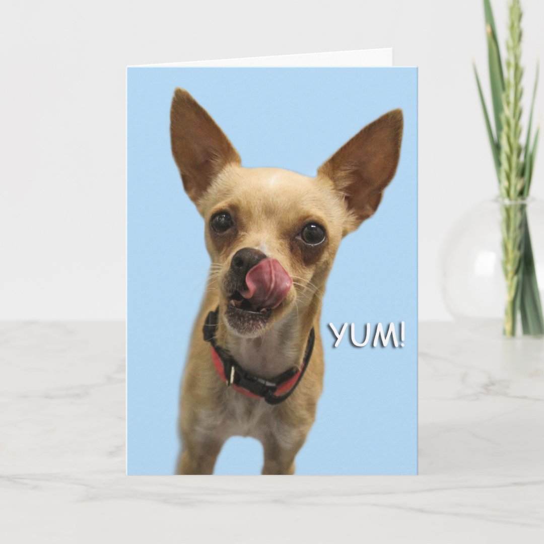 Chihuahua Birthday Card by Focus for a Cause | Zazzle