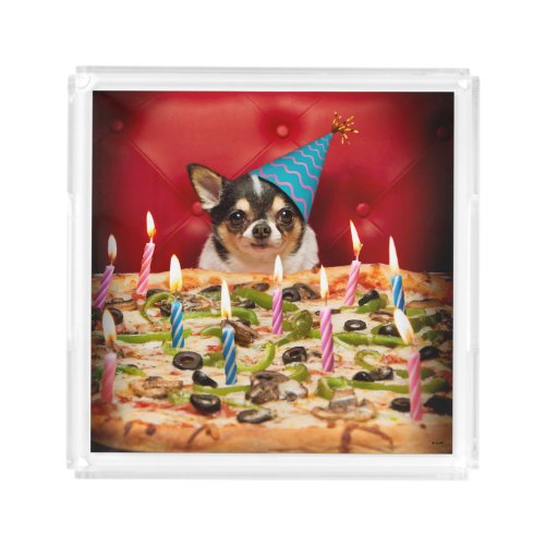 Chihuahua Birthday Pizza Pie Acrylic Tray